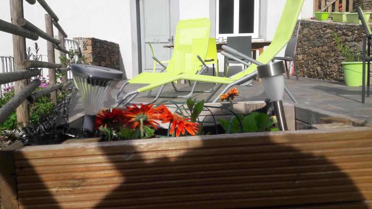 Appartement Giannoni San-Martino-di-Lota ภายนอก รูปภาพ