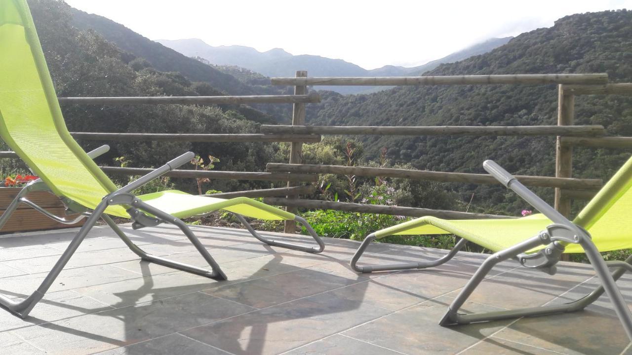 Appartement Giannoni San-Martino-di-Lota ภายนอก รูปภาพ