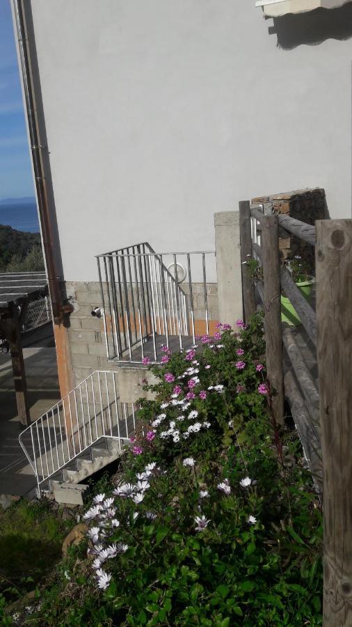 Appartement Giannoni San-Martino-di-Lota ภายนอก รูปภาพ