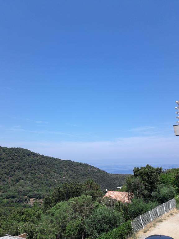 Appartement Giannoni San-Martino-di-Lota ภายนอก รูปภาพ